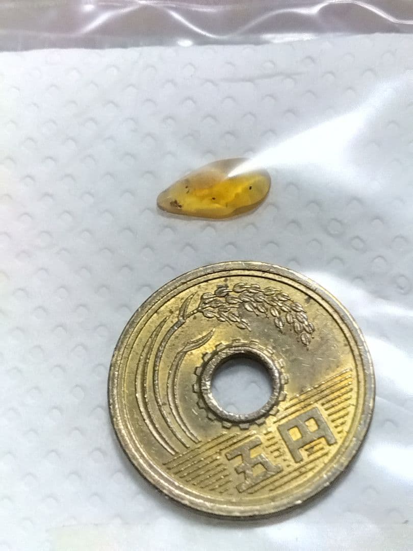 海洋堂　ジュラシックパークⅢ フィギュア&琥珀虫入り＋三葉虫化石（本物）