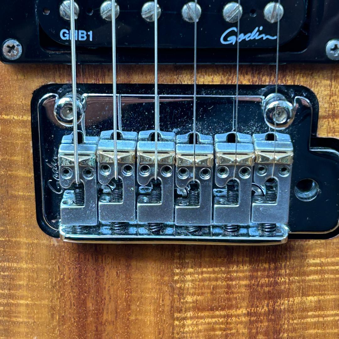 ギター GODIN xt-SA KOA 25th anniversary limited