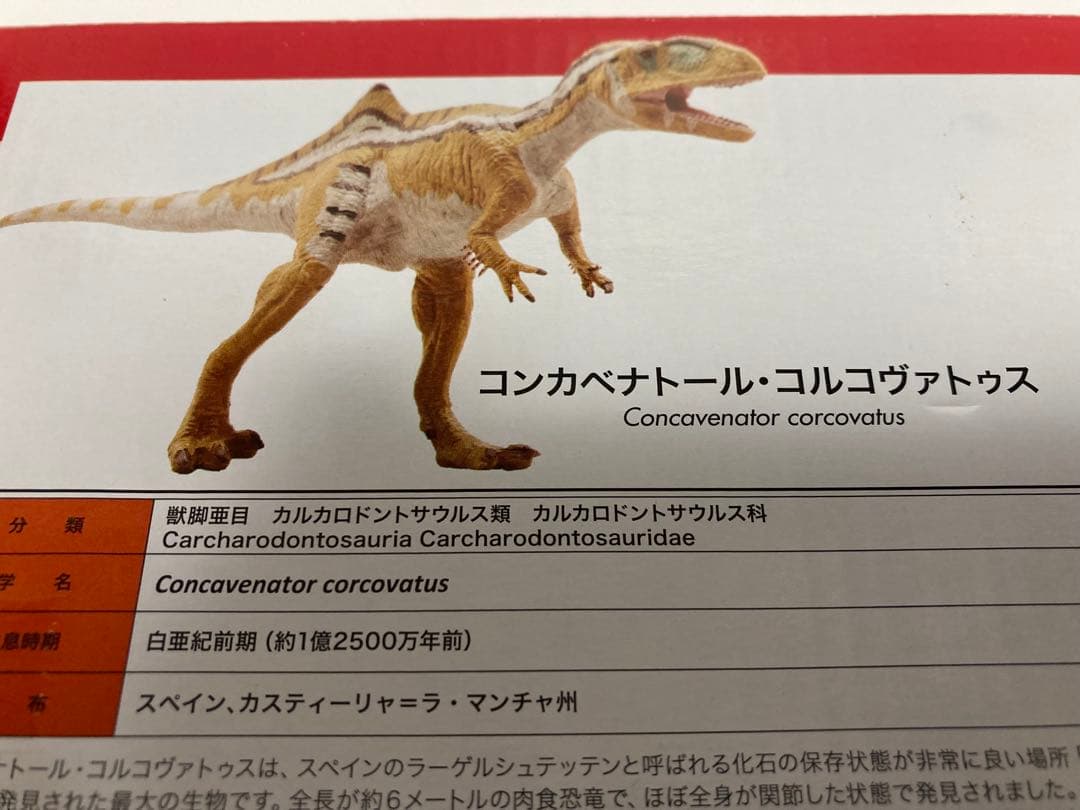 福井県立恐竜博物館監修　スペイン展限定　荒木一成原型　恐竜フィギュア2体