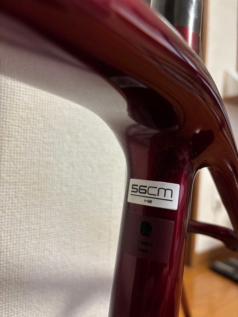 トレックTREK エモンダ EMONDA SL6 2019 56サイズ フレーム