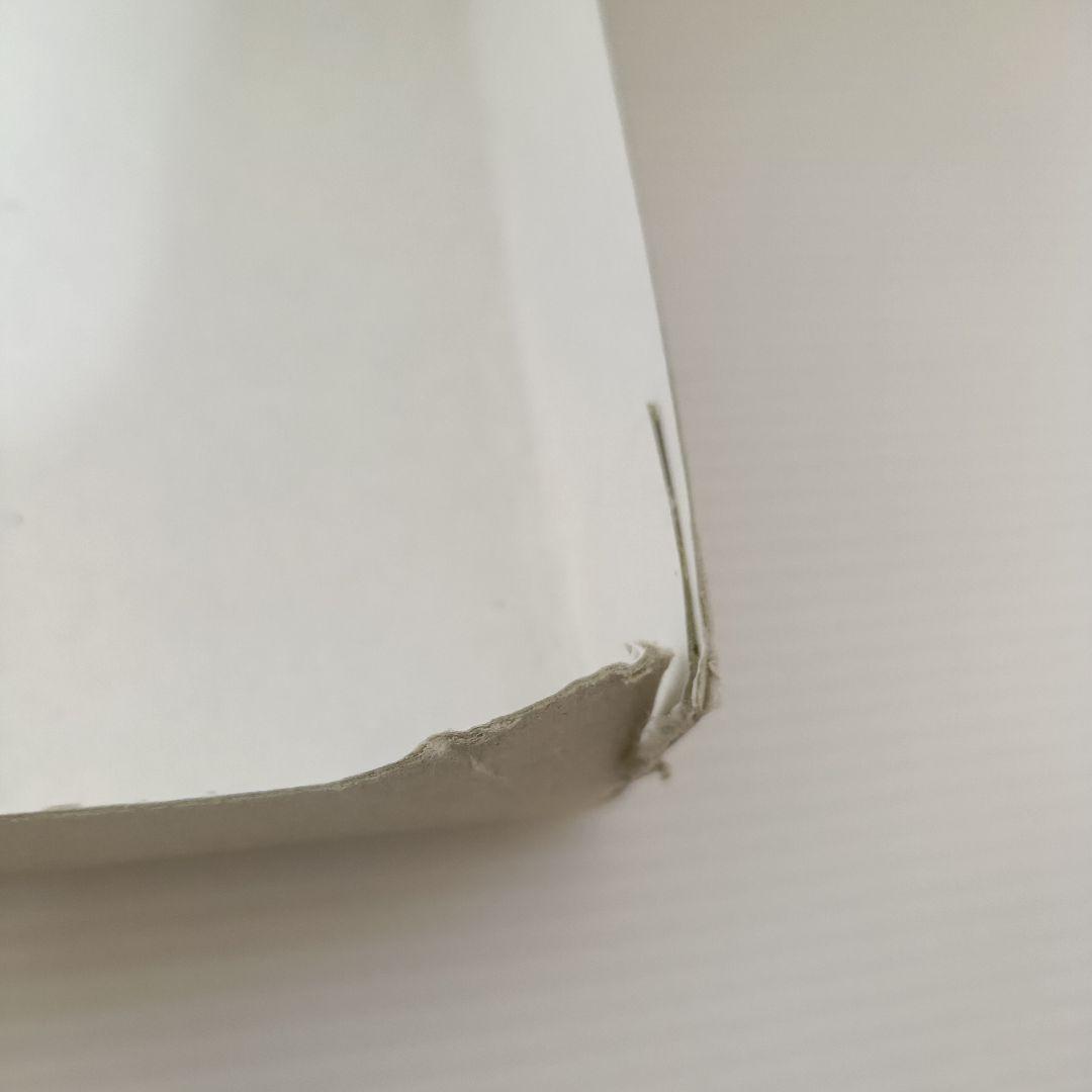 【未組立品】レーサーミニ四駆　ダッシュ02号　新太陽　ネオ・バーニングサン　初期