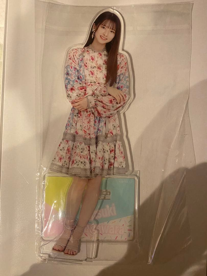 菅原咲月 lucky bag 個別 BIG アクリルスタンド