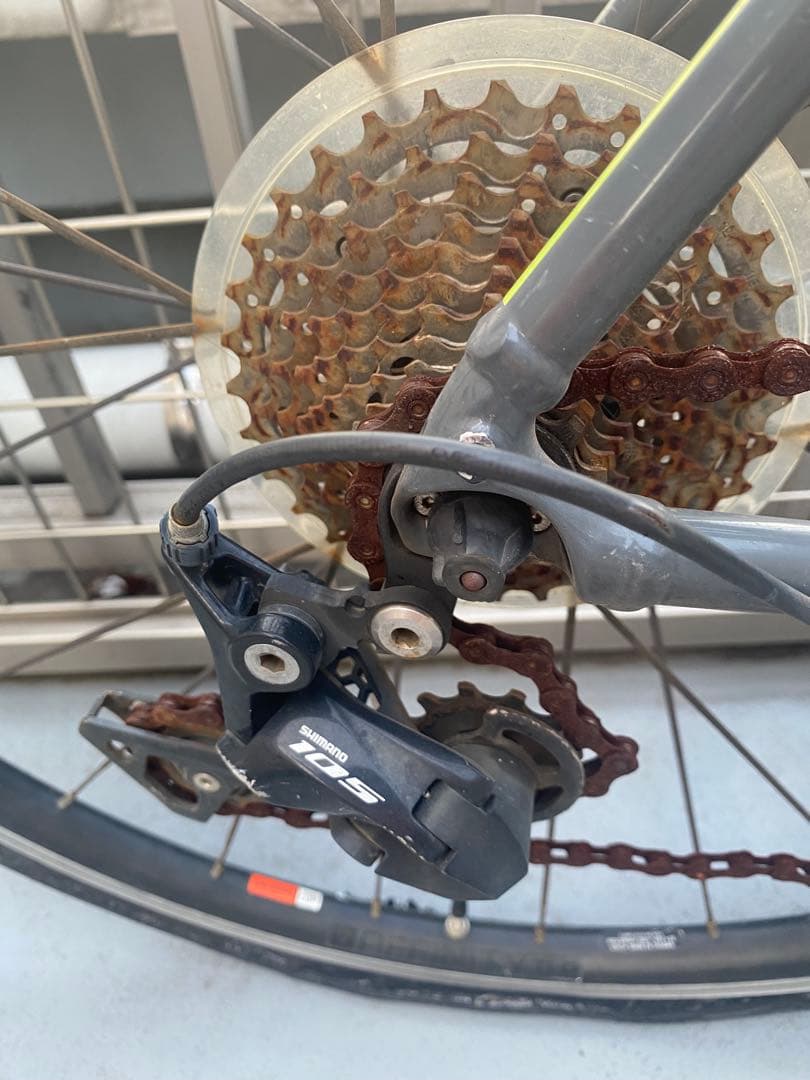 ブータン　中古　TREK Domane AL 5 ロードバイク グレー