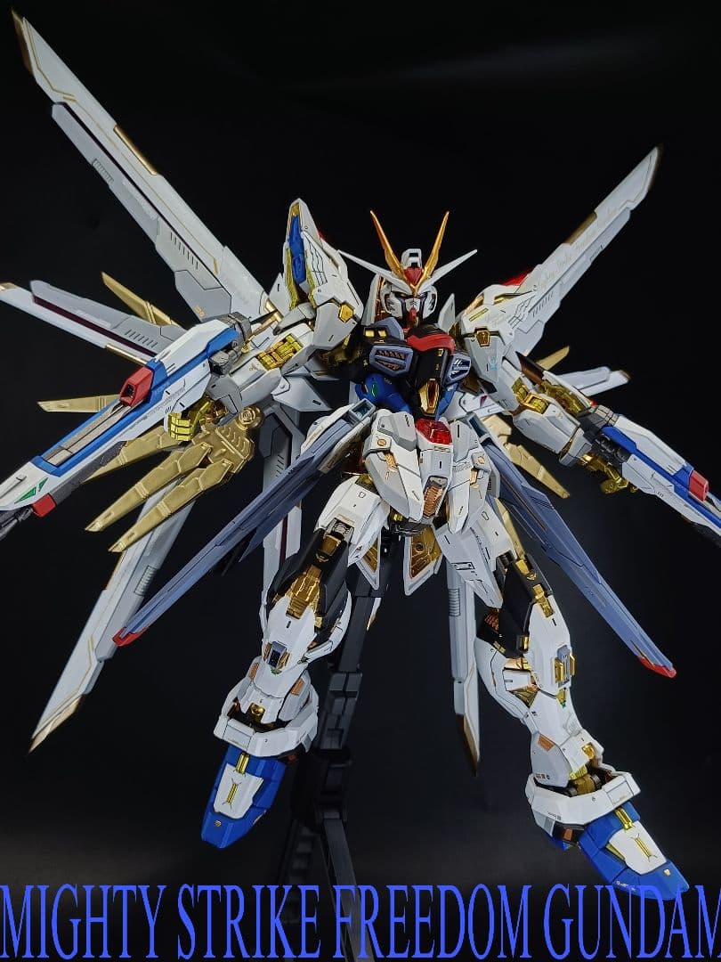 MGEX ストライクフリーダムガンダム　全塗装　完成品　MG