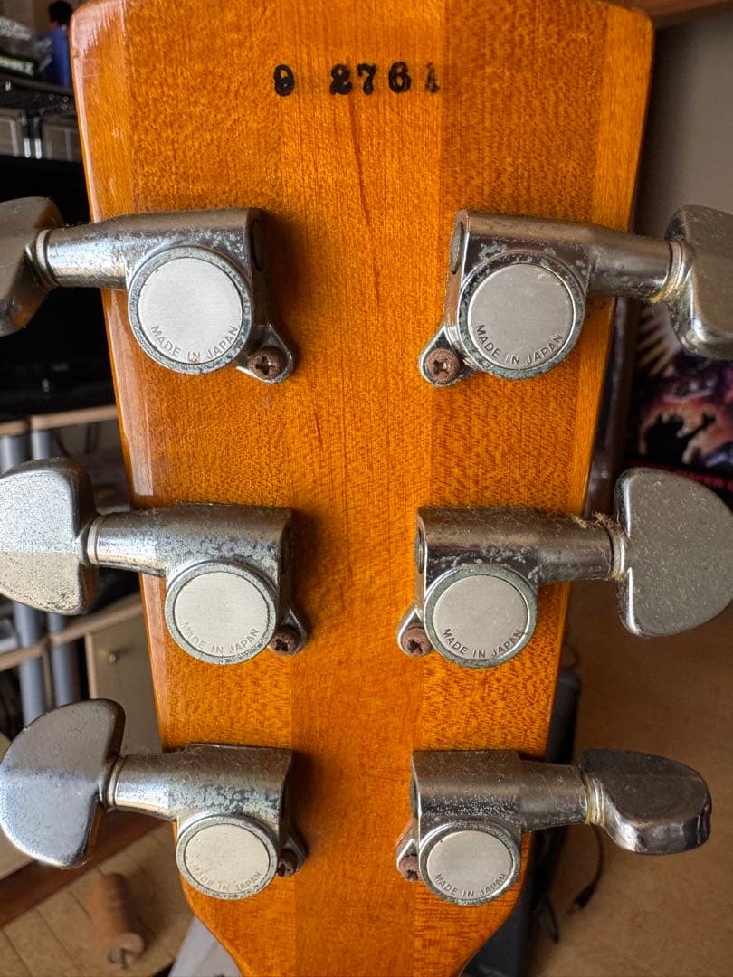 Greco（グレコ）製の「リゾネーターギター D-80P」ケース付き