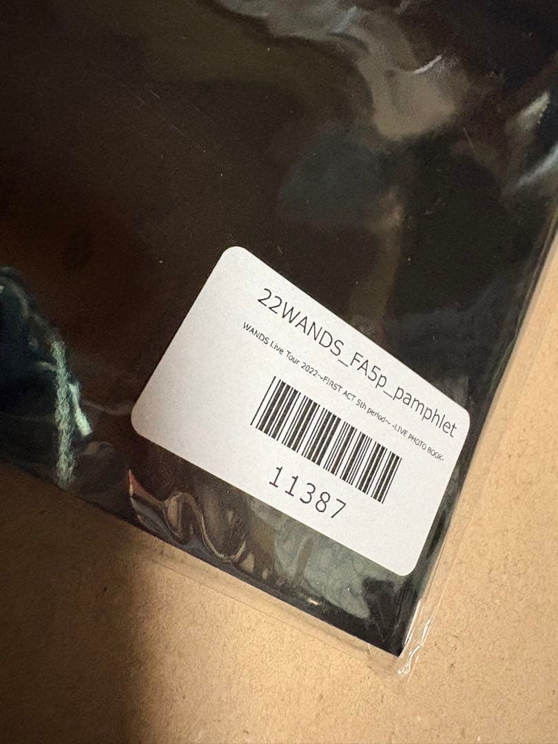 未開封☆WANDS☆ライブツアー2022☆ライブフォトブック☆