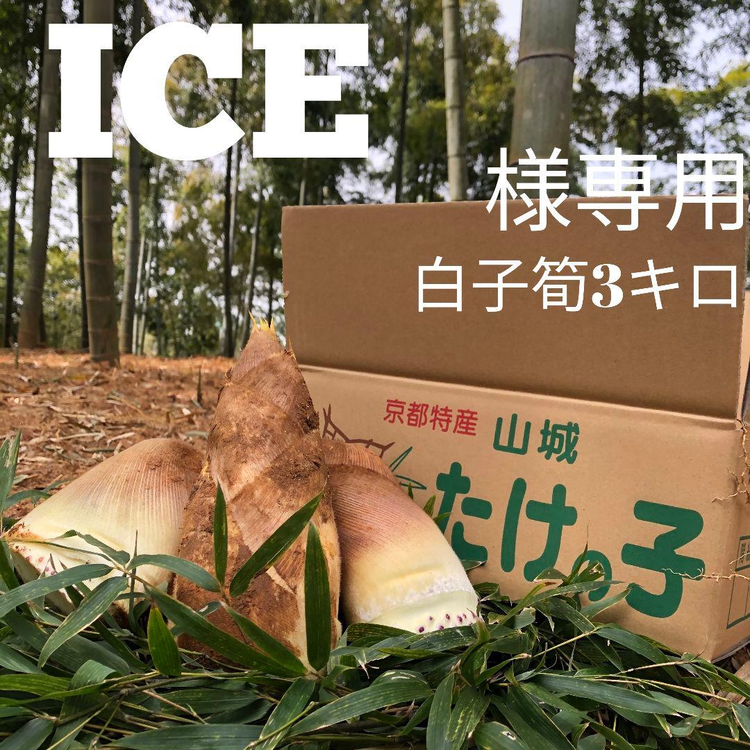ICE 白子筍3キロクール