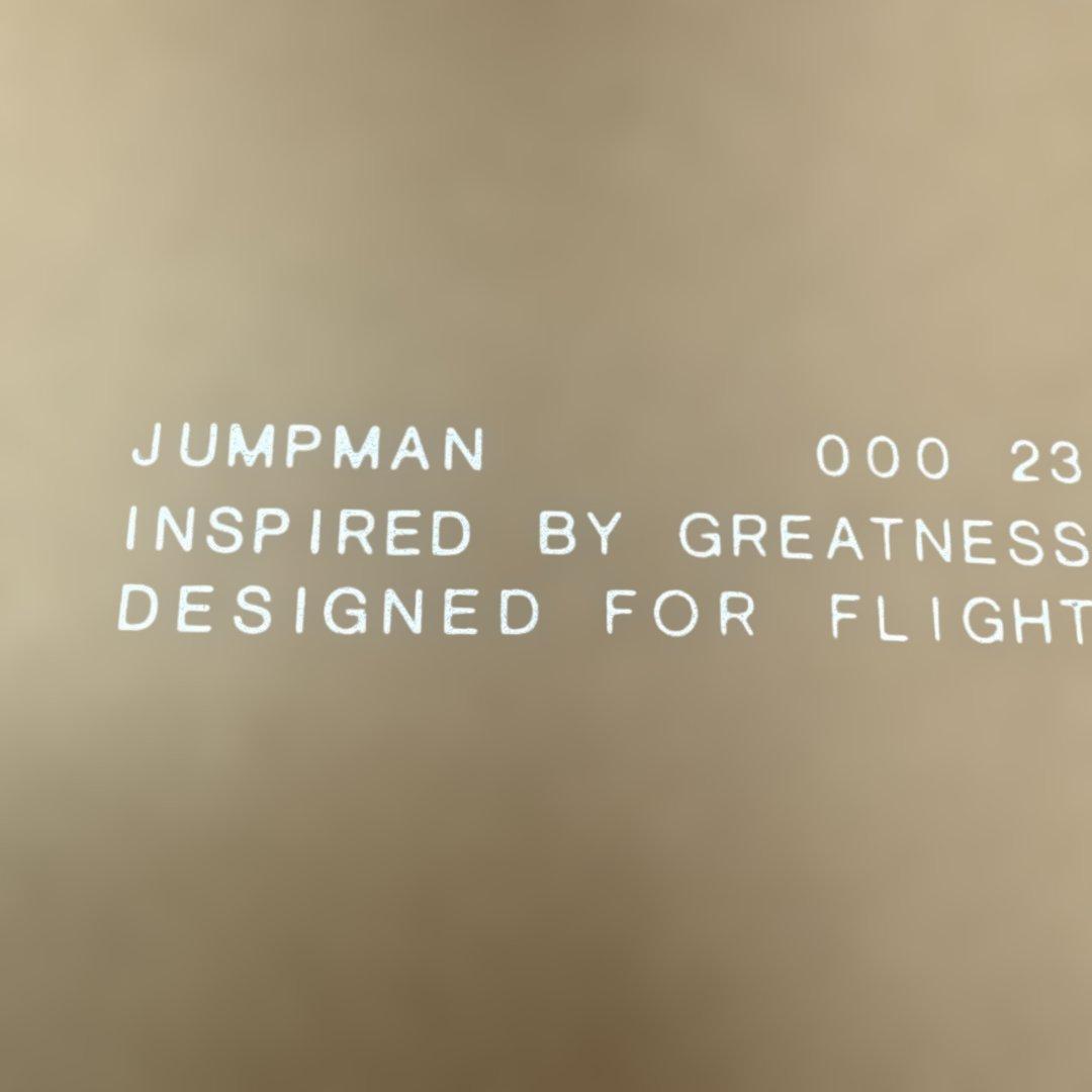 NIKE エアージョーダン 29センチ　未使用