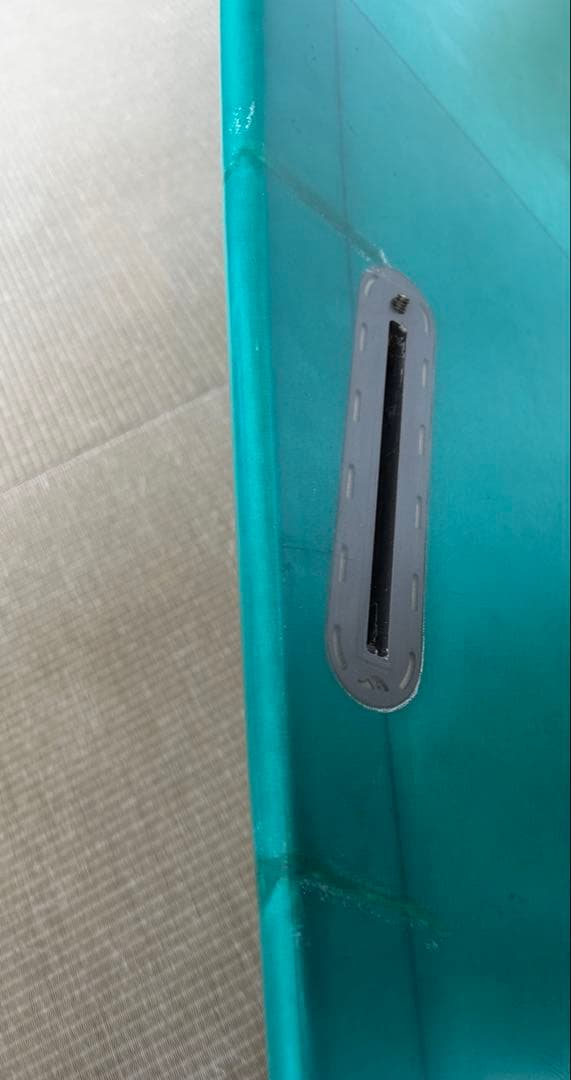 アルメリック　Ci fish