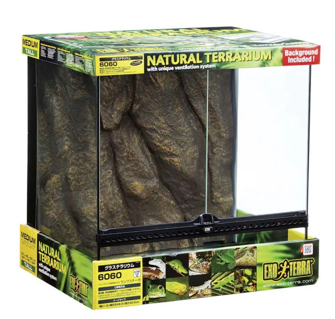 グラステラリウム 60×60