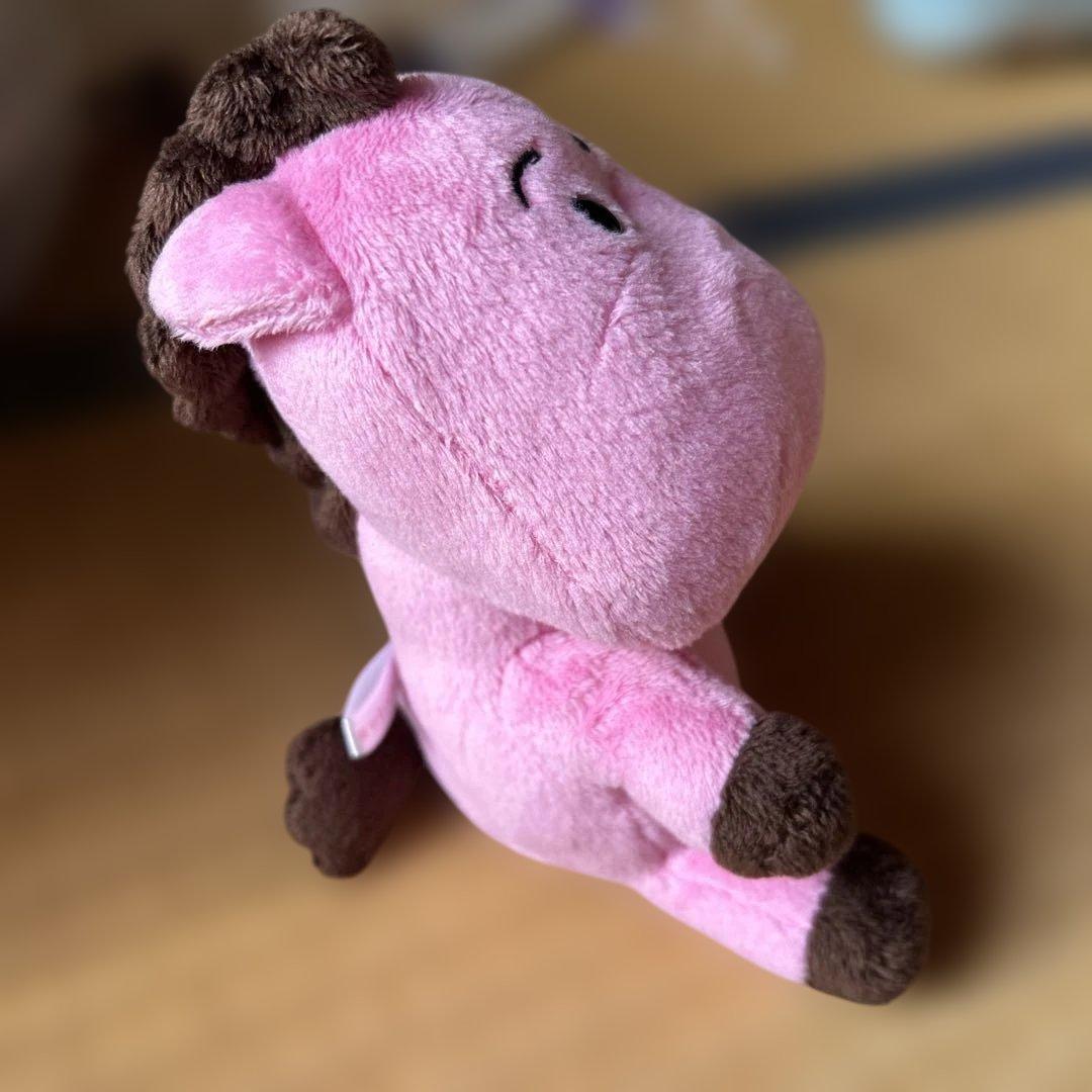 岩手めんこいテレビキャラクターミットくん