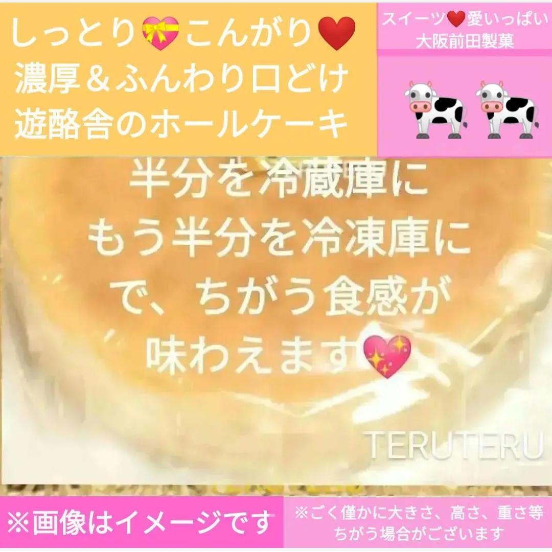 ⭕️アウトレット ⭐️チーズケーキ ⭐️プレーン 大 ６号１０個 工場直売