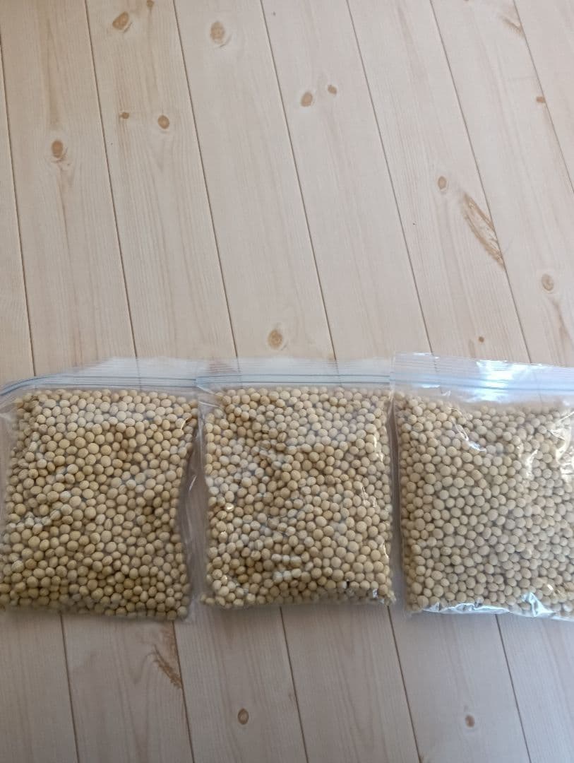 北海道産 自然栽培 大豆「鶴の子」6キロ おまけ付き