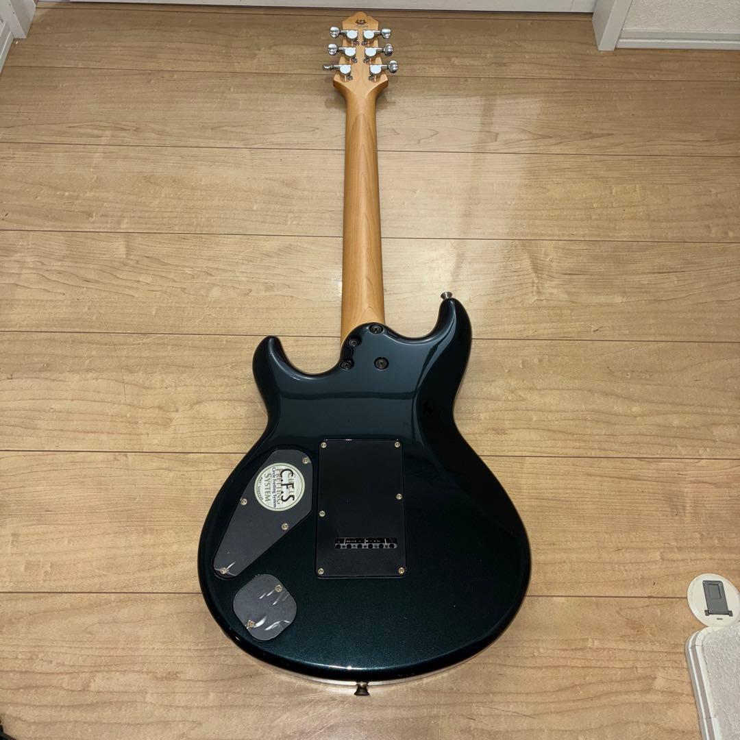 超希少　History(フジゲン) ZGF CFS 富士弦製　日本製