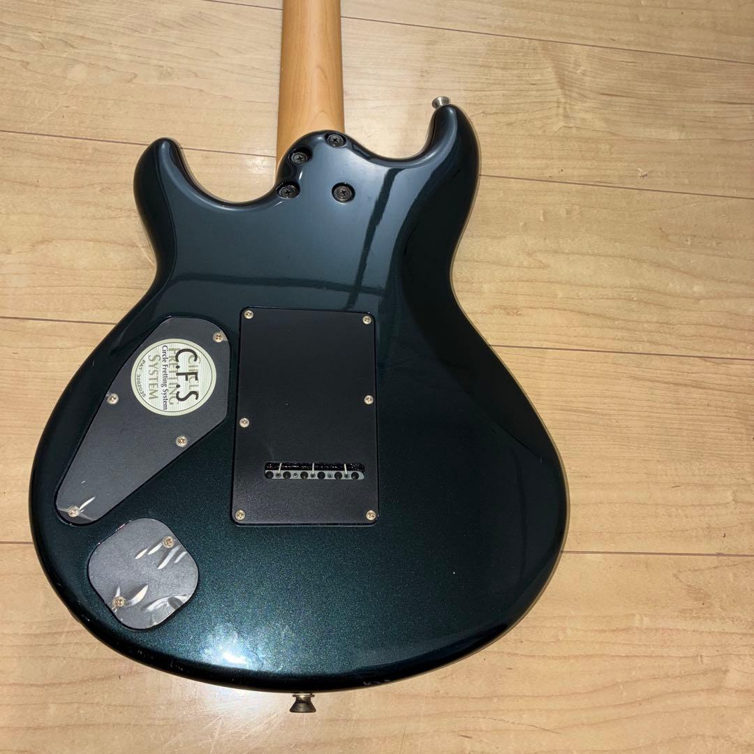 超希少　History(フジゲン) ZGF CFS 富士弦製　日本製