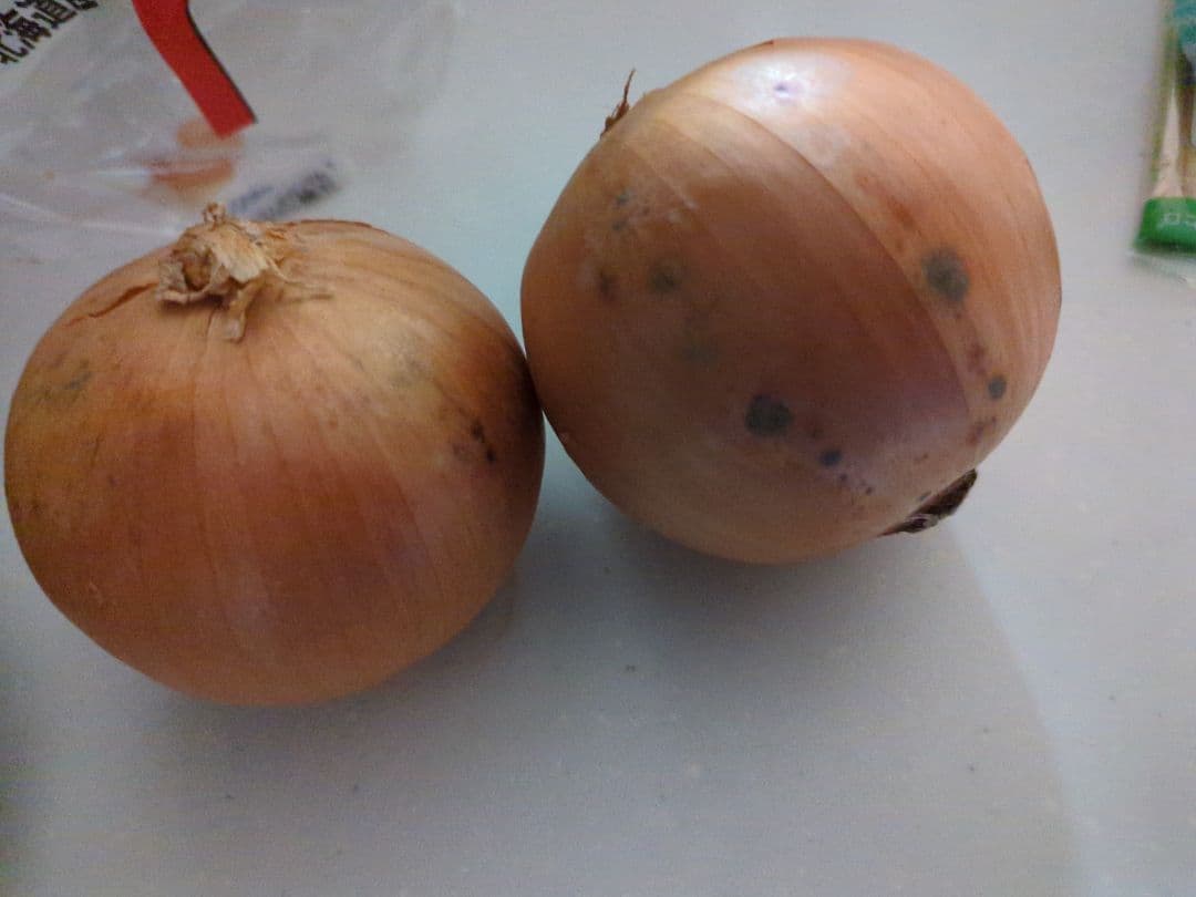 玉ねぎ皮　100㌔　特価　15万円