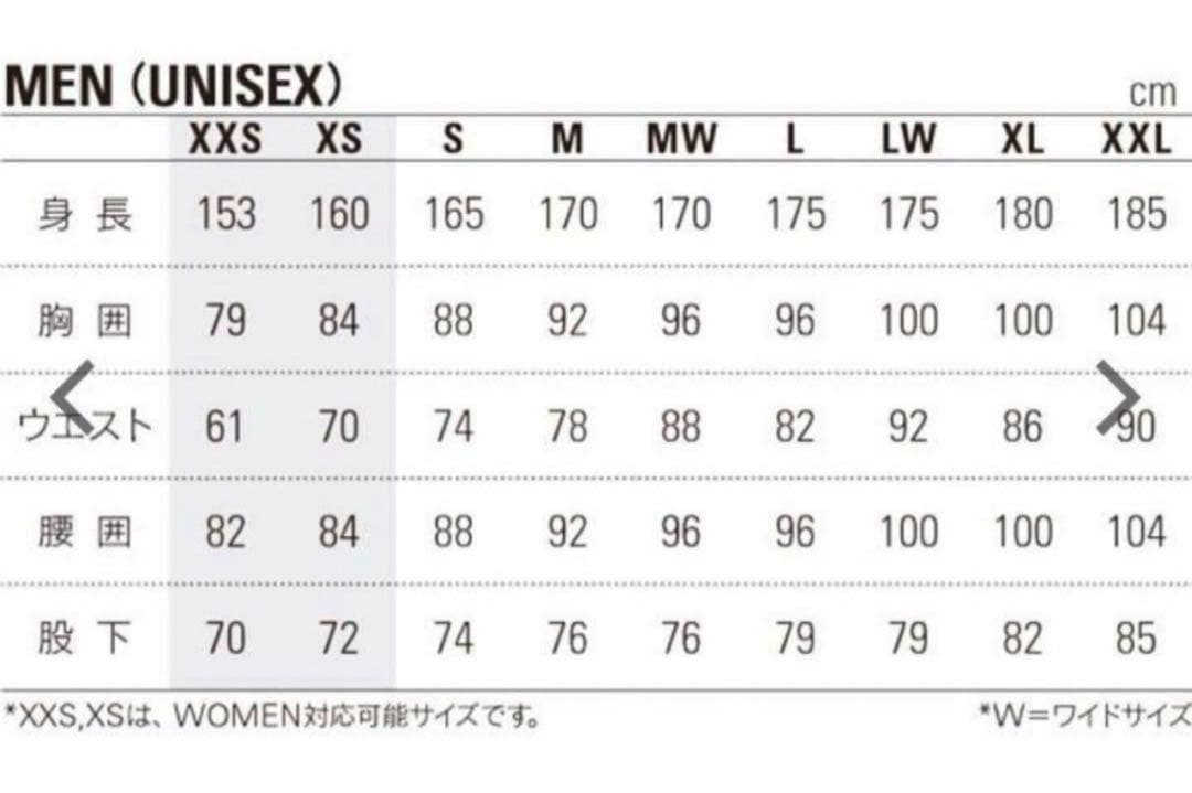 Phenix フェニックス　スキーウェア　ジャケット　L