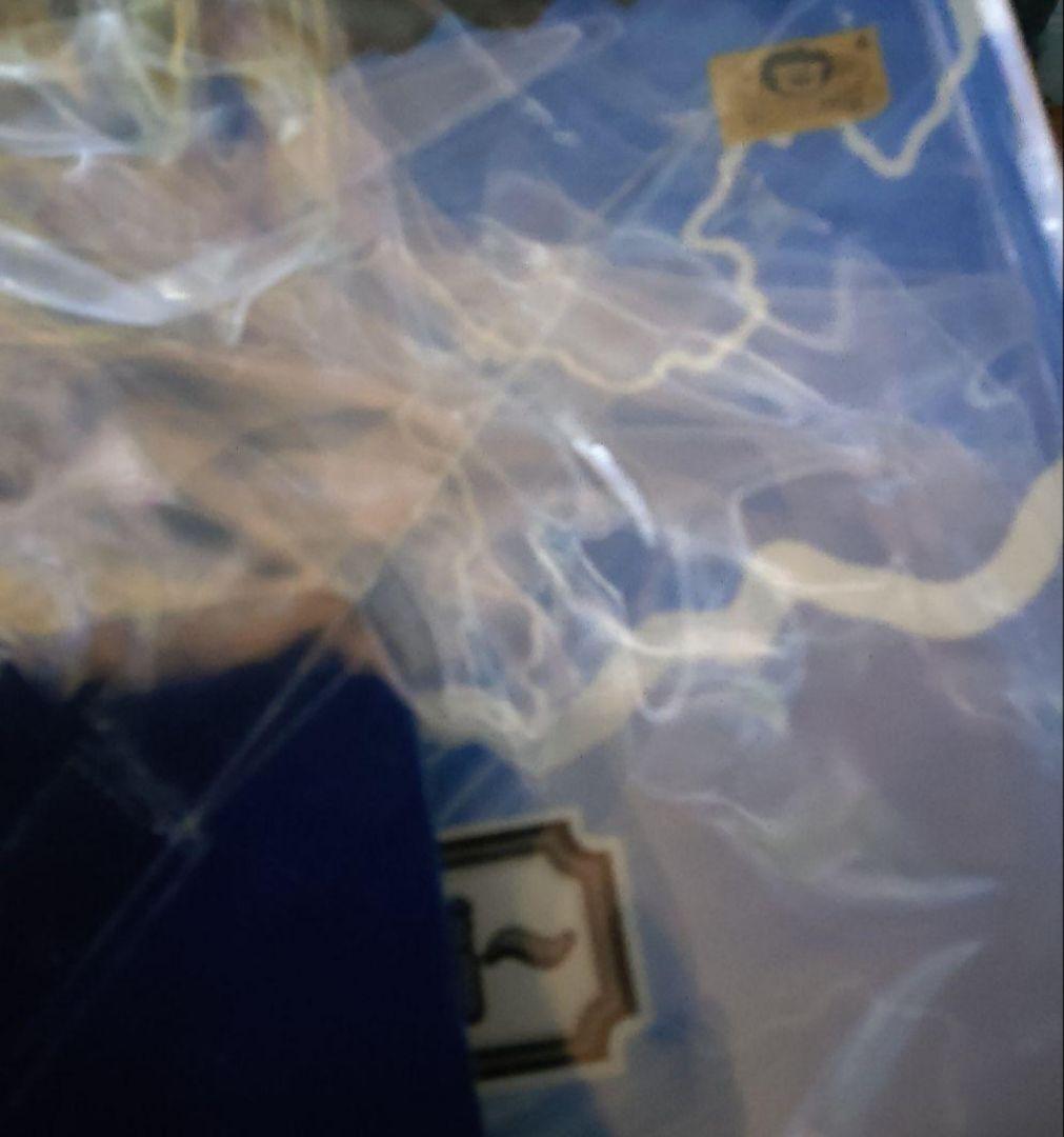 国内正規品 ドラゴンボール フィギュア 一番くじ 大猿フィギュア 2点セット