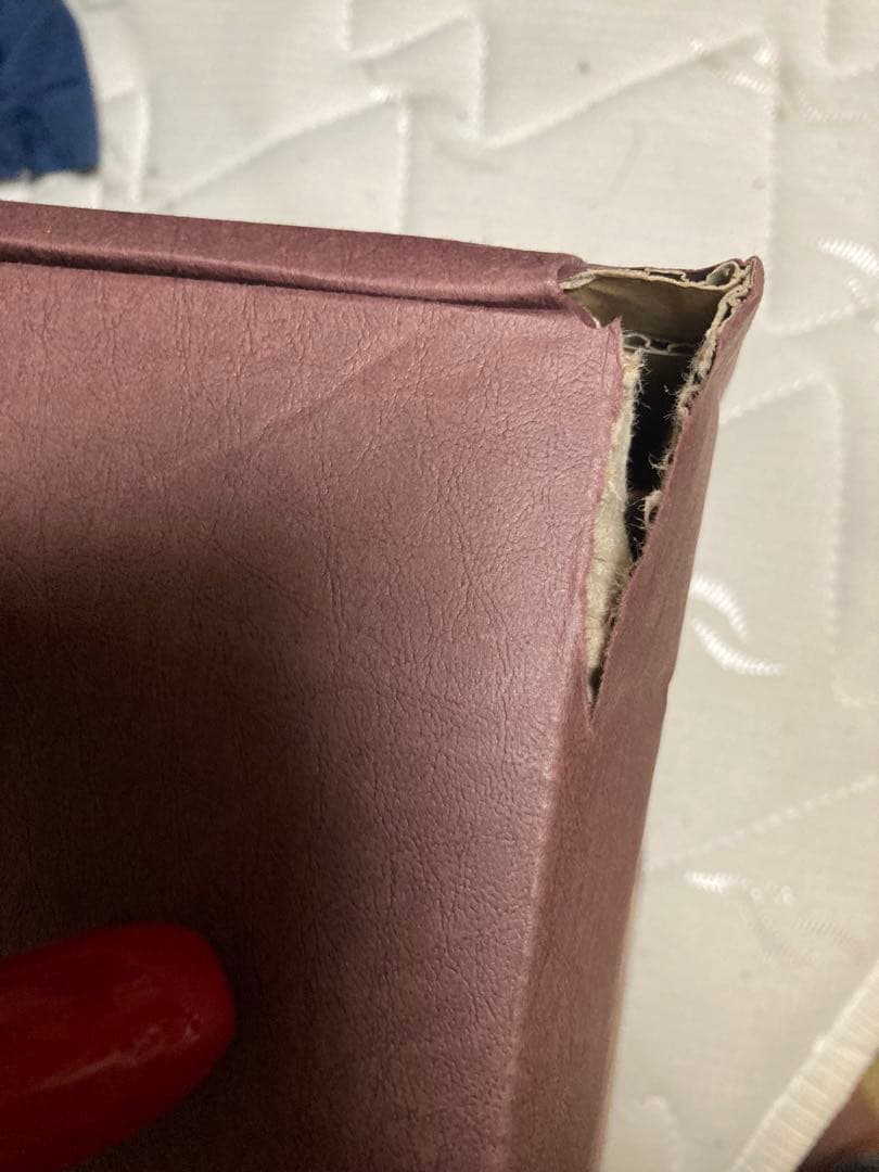 羽瀬川小鳩 フィギュア 僕は友達が少ない NEXT アゾン　アニまる！別注版