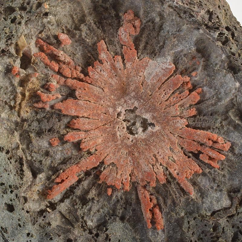 天然石　鑑賞石　菊花石　置物　重さ約392g　唐木台付　V　R6492