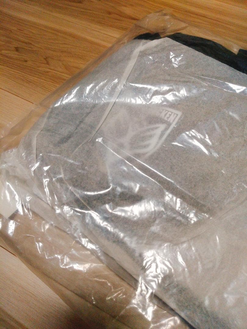 【送料無料・貴重！】BUMP OF CHICKEN ドラムバッグ（ブラック）