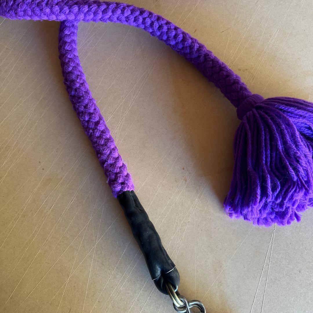 土佐犬　土佐闘犬　超大型犬　引き綱　紫