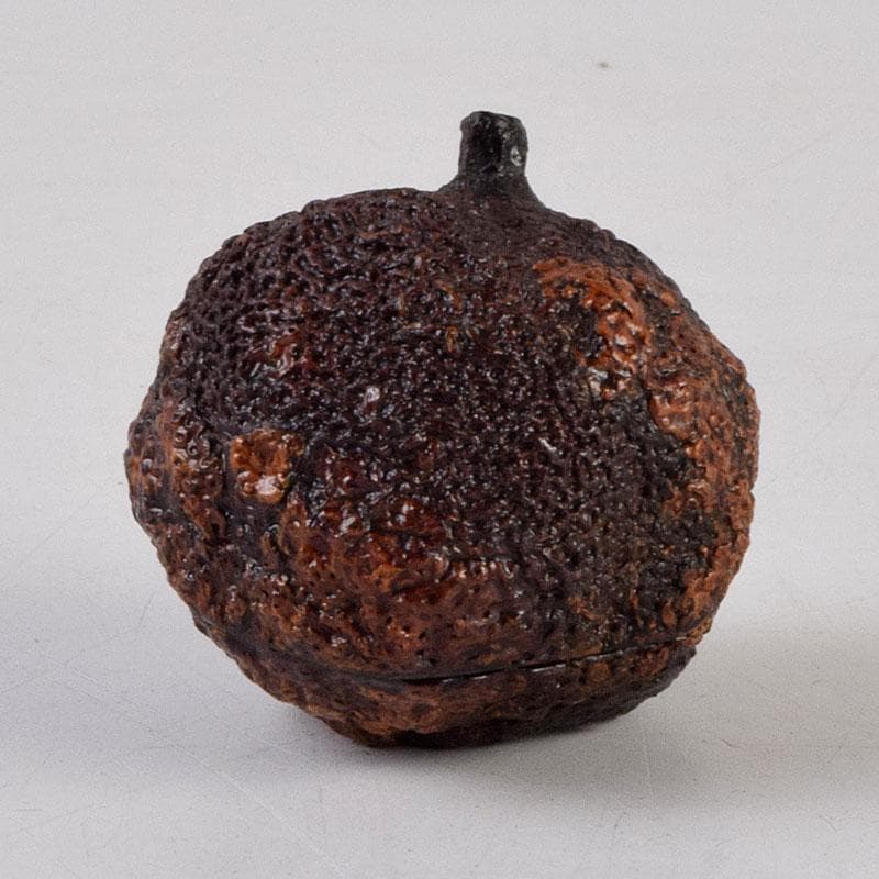 茶道具　輪島塗　川岸充雅作　柚子香合　共布共箱　V　9160