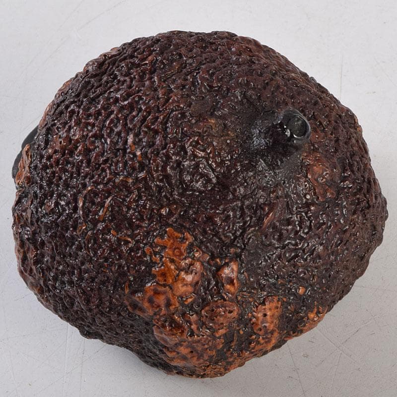 茶道具　輪島塗　川岸充雅作　柚子香合　共布共箱　V　9160