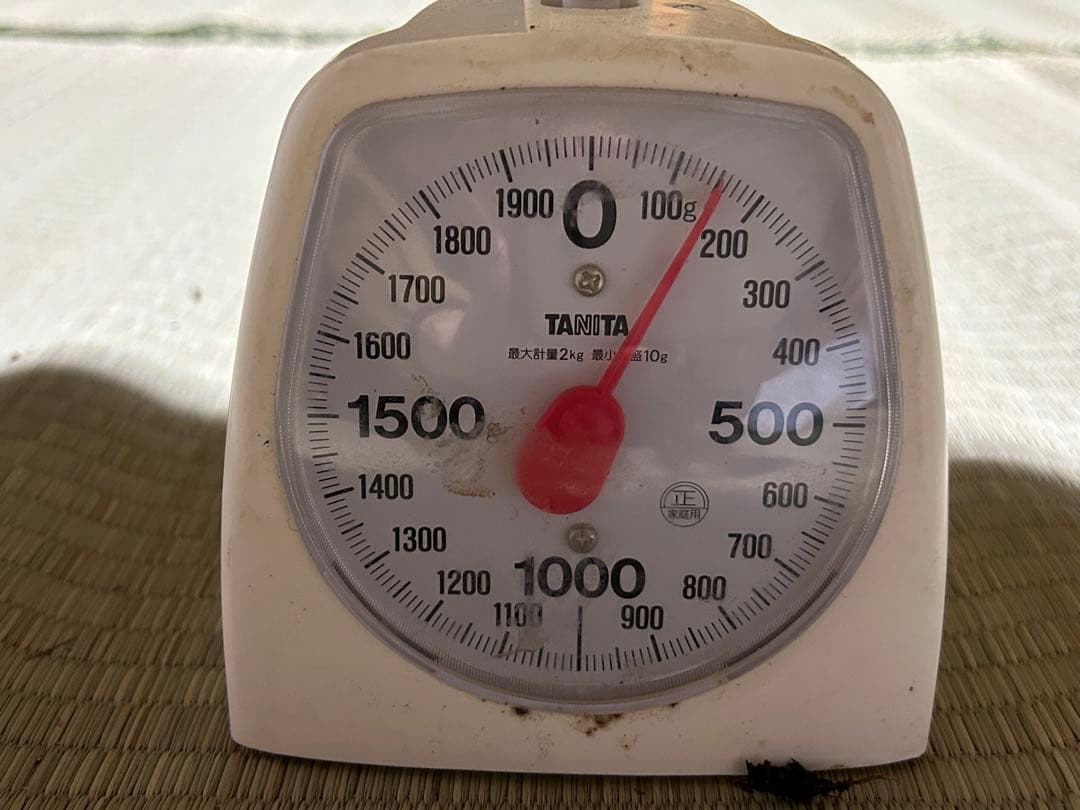 ☆信州産松茸☆今現在約150グラム☆まつたけ☆クール便送料込み☆国産松茸☆