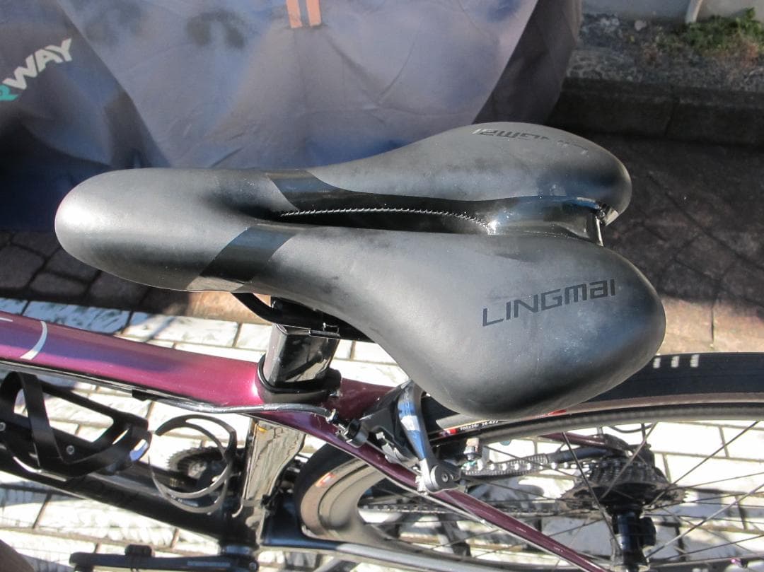 メンテ済 GiantのLiv フルカーボンモデル Aimez