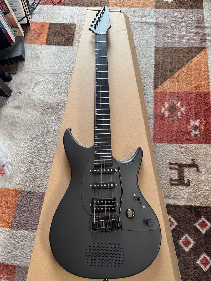 ギター Enya inspire