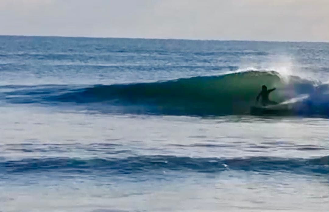 【送料込み】パフォーマンス ツイン STACEY ／BULLET TWIN