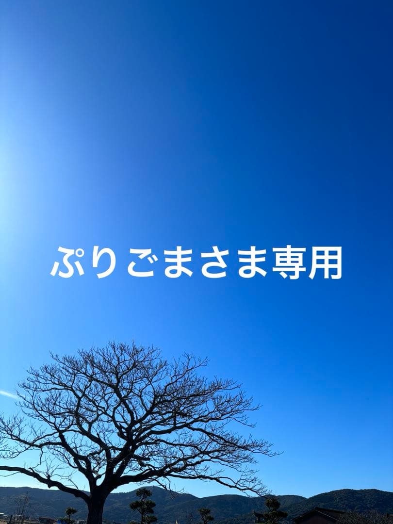 ❁⃘*.゜ぷりごまさま専用❁⃘*.゜仕込味噌 5kg