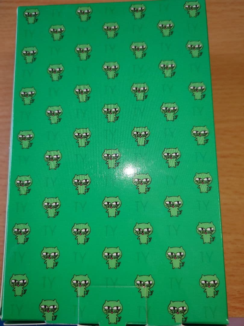 【新品・未使用】ウォークマン オクキャットコラボ 2PM テギョン 公式グッズ