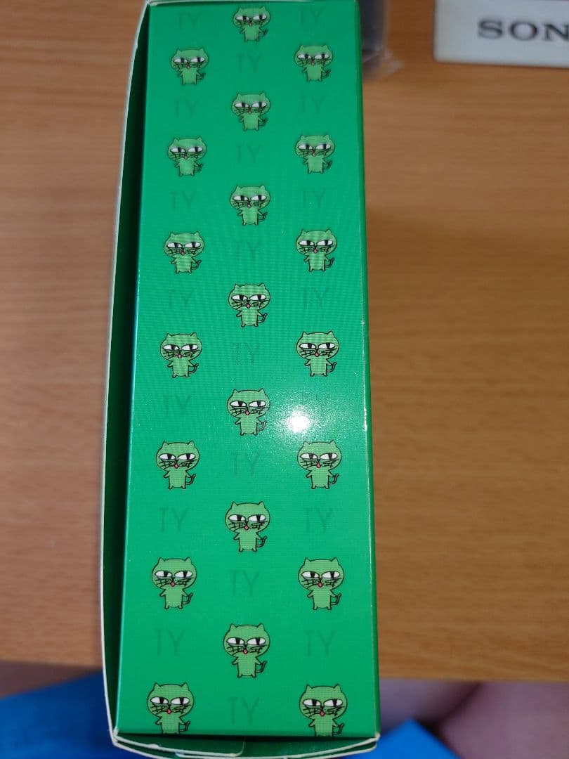 【新品・未使用】ウォークマン オクキャットコラボ 2PM テギョン 公式グッズ