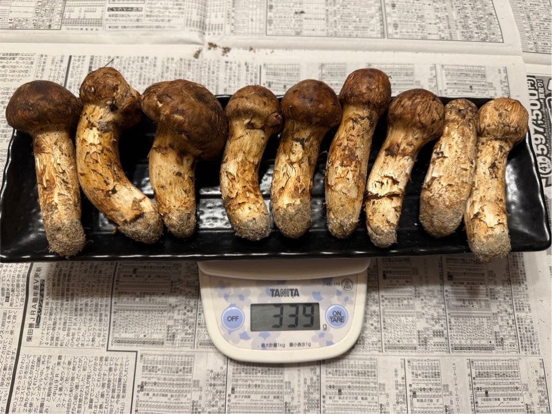 松茸　北海道　300g 国産　③
