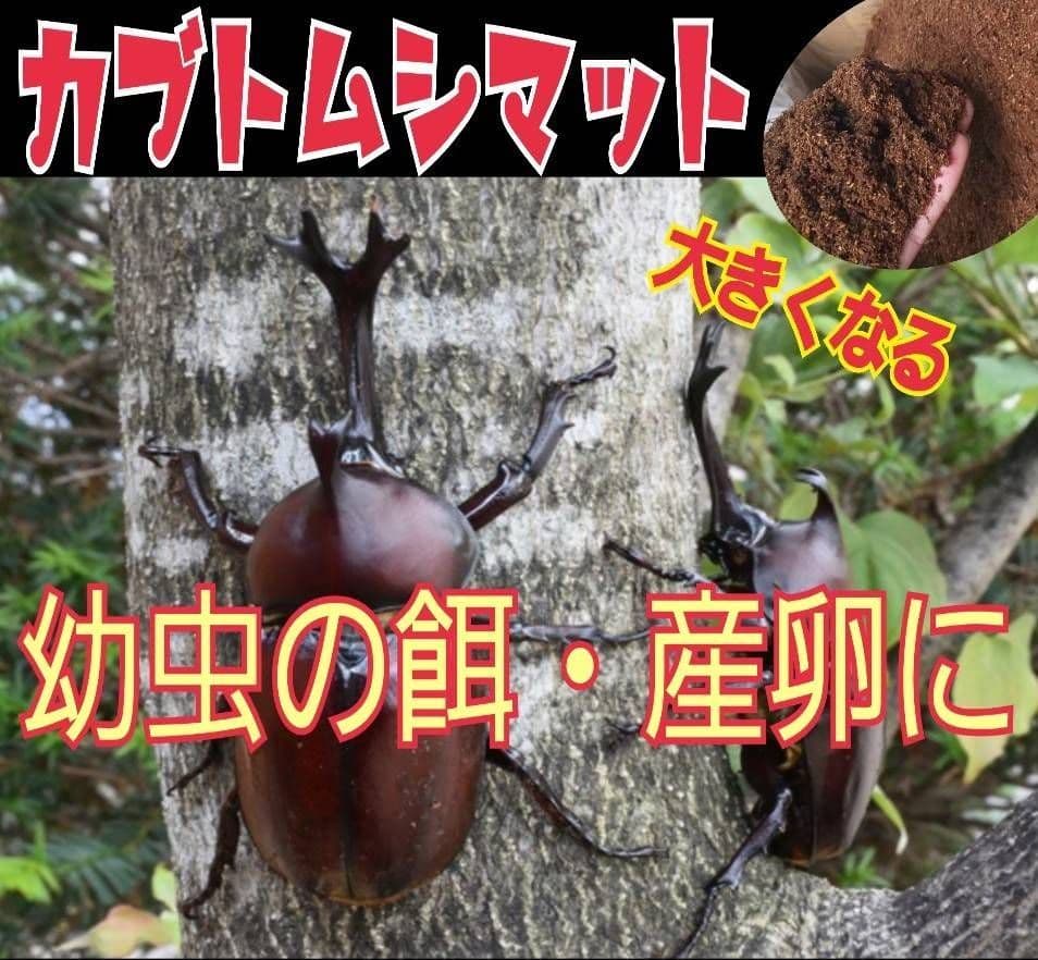 カブトムシ幼虫の餌、産卵にはコレです！改良版！発酵マット50L☆大きくなります！