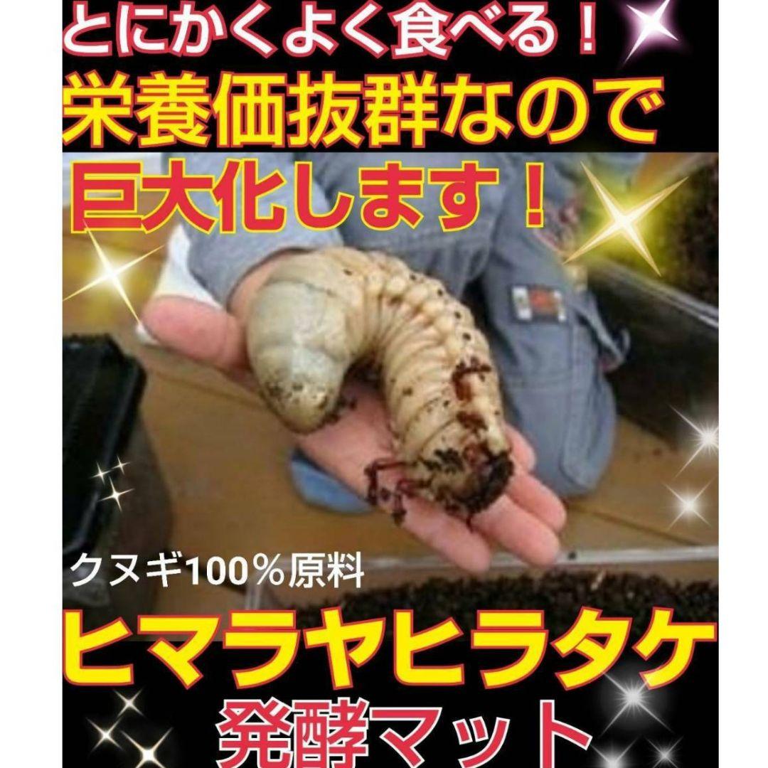 カブトムシ幼虫の餌、産卵にはコレです！改良版！発酵マット50L☆大きくなります！