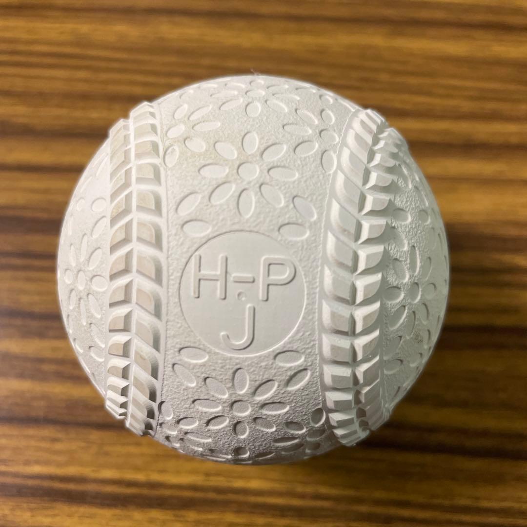 NAIGA テクニカルピッチ J号球 ホワイト