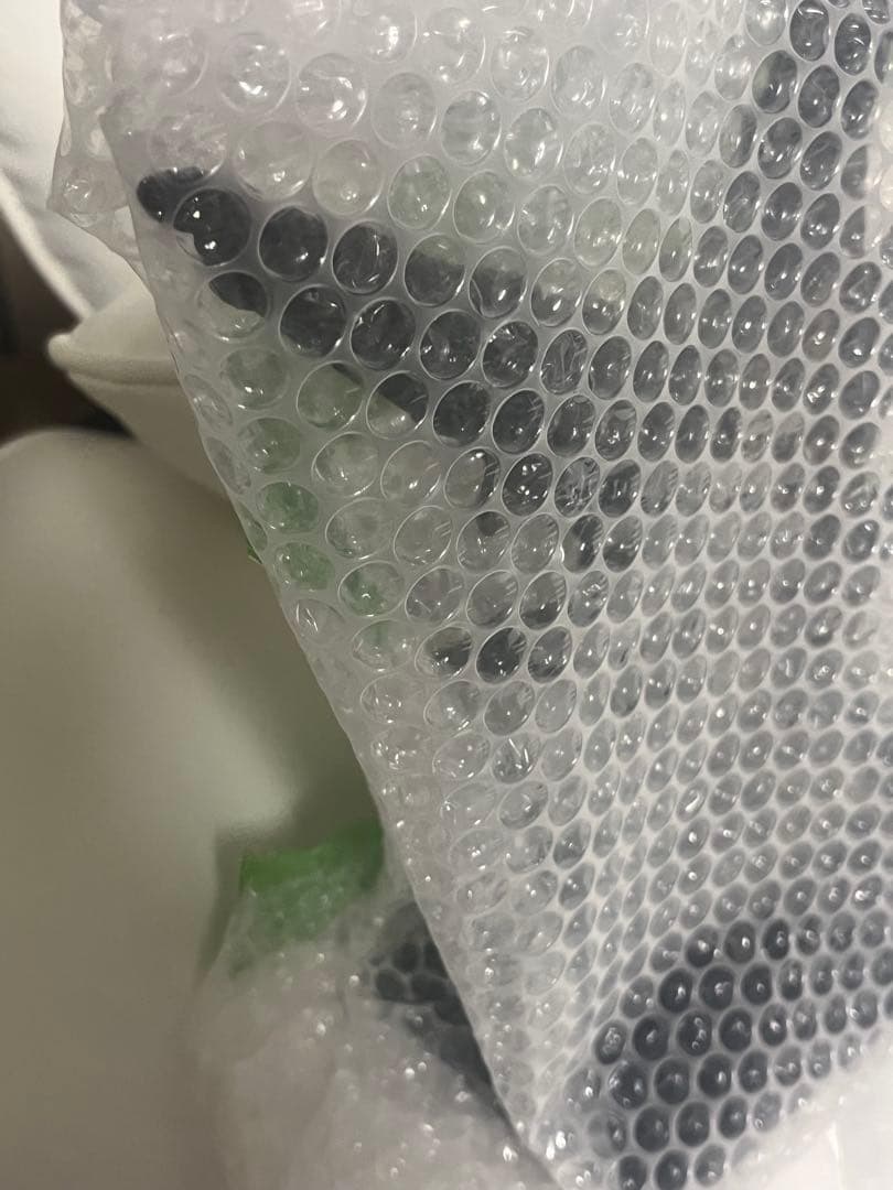 ゴジラ- 1.0 背びれ 100体限定 ニジゲンノモリ