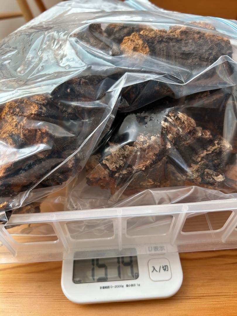 カバノアナタケ　北海道　道東産　1.5k