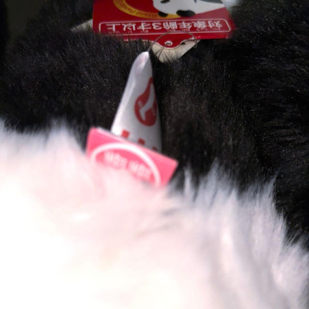 タグ付き♦️初回販売♦️収納袋付き♦️お顔厳選♦️抱っこシャンシャン 上野動物園