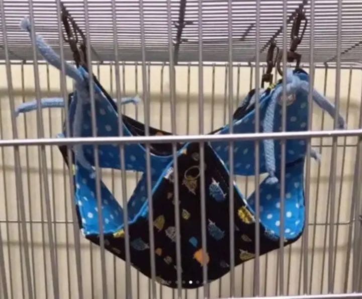 モモンガハウス（パンダ・熊柄）春・秋仕様    1950円