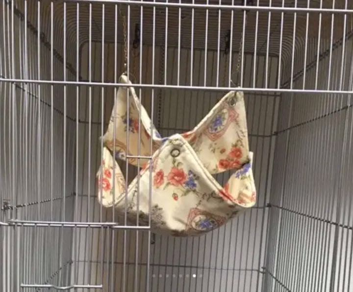 モモンガハウス（パンダ・熊柄）春・秋仕様    1950円