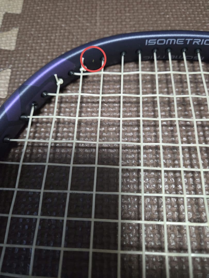 ヨネックスパーセプト 100L