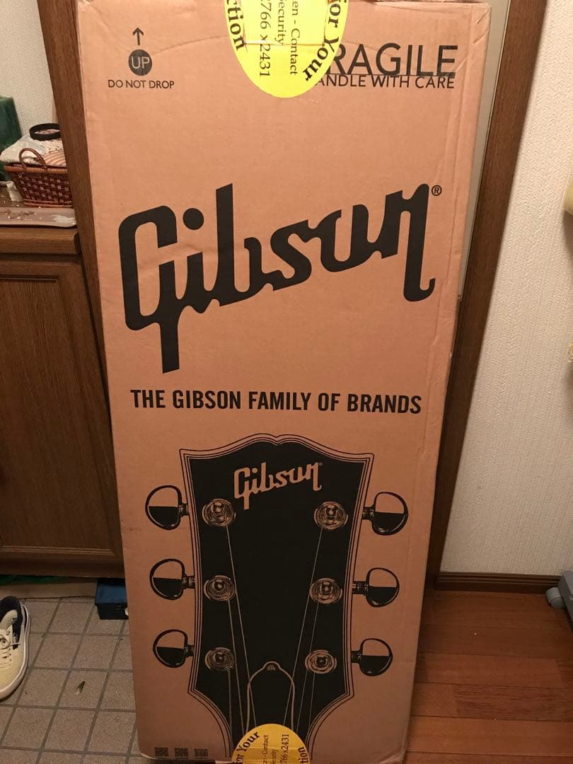 ギター Gibson Flying V Custom