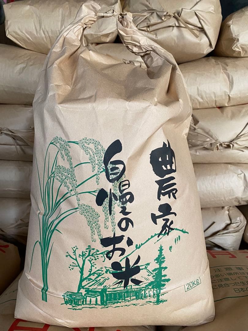2025年収穫　コシヒカリ20キロ　精米済み白米　三重県産