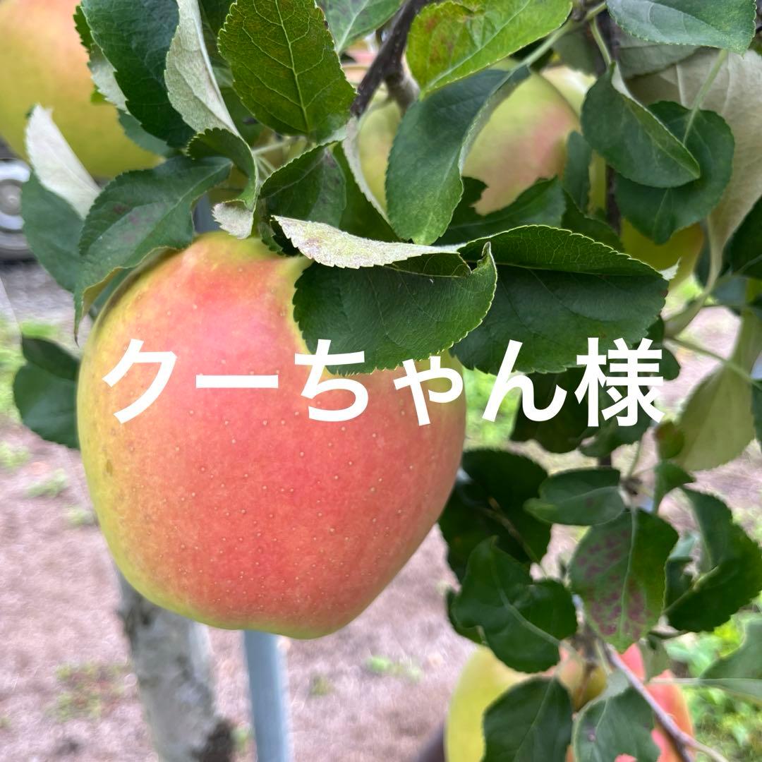 クーちゃんページ✨10kg