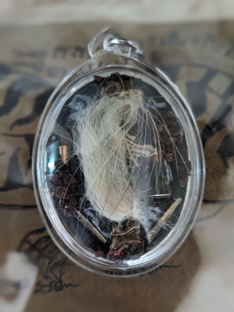 【姉御】激レア！タイのお守りプラクルアン！九尾の狐！専門店購入！アンティークに！