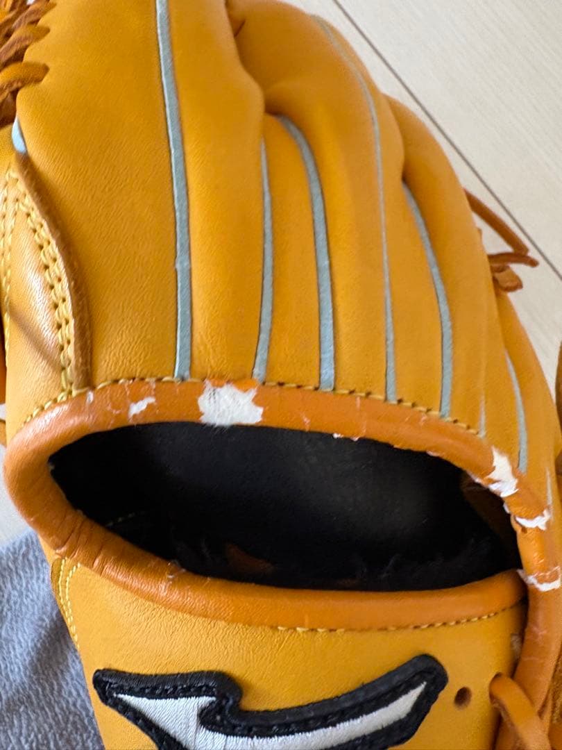 Mizuno Professional 軟式グローブ イチローモデル左投げ